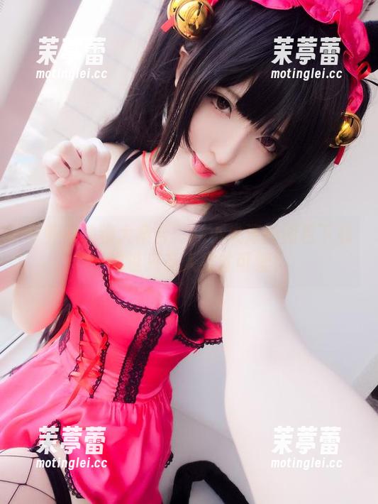 家养小动物大集合：一小央泽的图包下载，谁说只有人类才可爱？