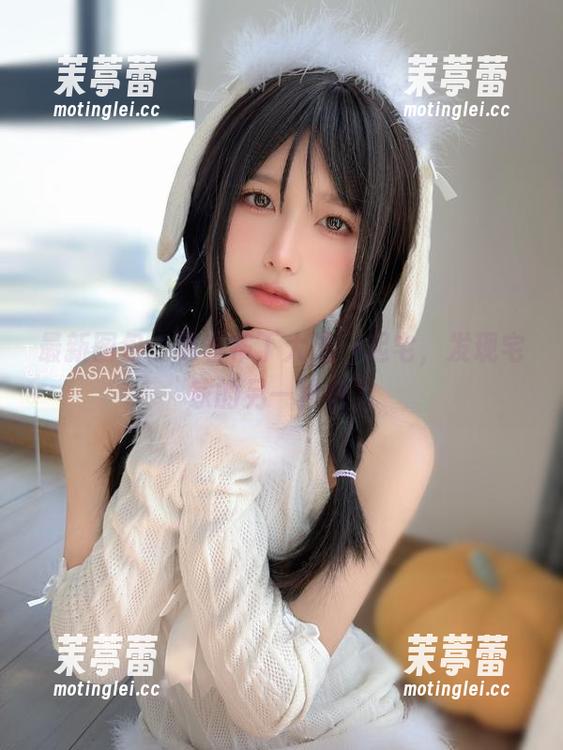 最新图包：跟着布丁大法一起宅，发现宅家的另一种魅力